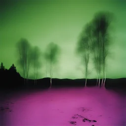 a landscape by Chris Cunningham