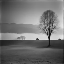 a landscape by Elliott Erwitt