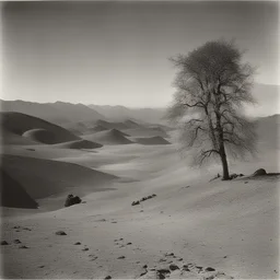 a landscape by Fritz Henle
