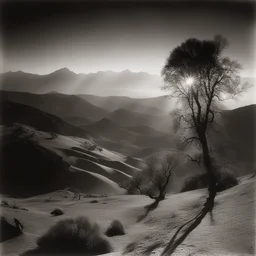a landscape by George Hurrell