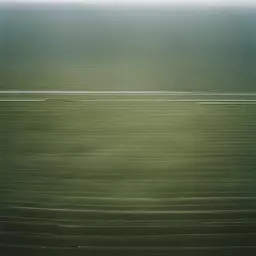 a landscape by Andreas Gursky