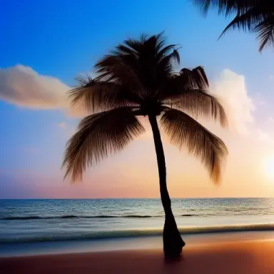 palm tree by the beach with waves