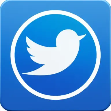twitter logo real verison,