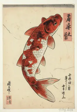 ukiyo e print of a koi fish
