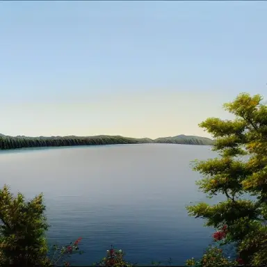 lake trees 254